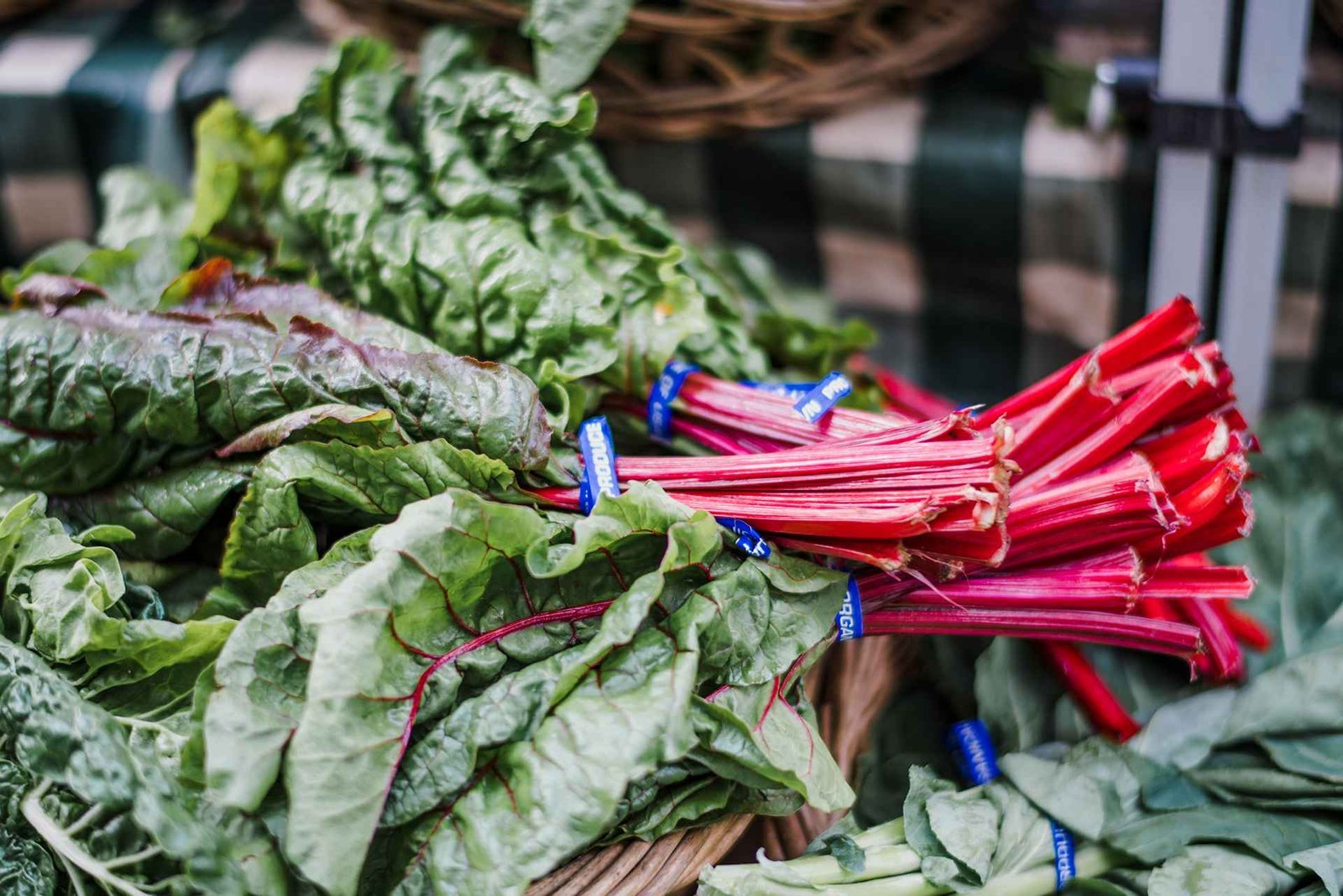 Health Isn’t a Goal—It’s a Lifestyle