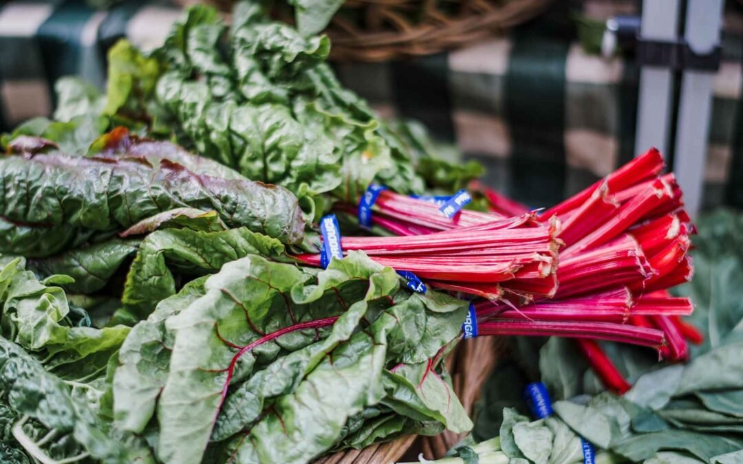 Health Isn’t a Goal—It’s a Lifestyle