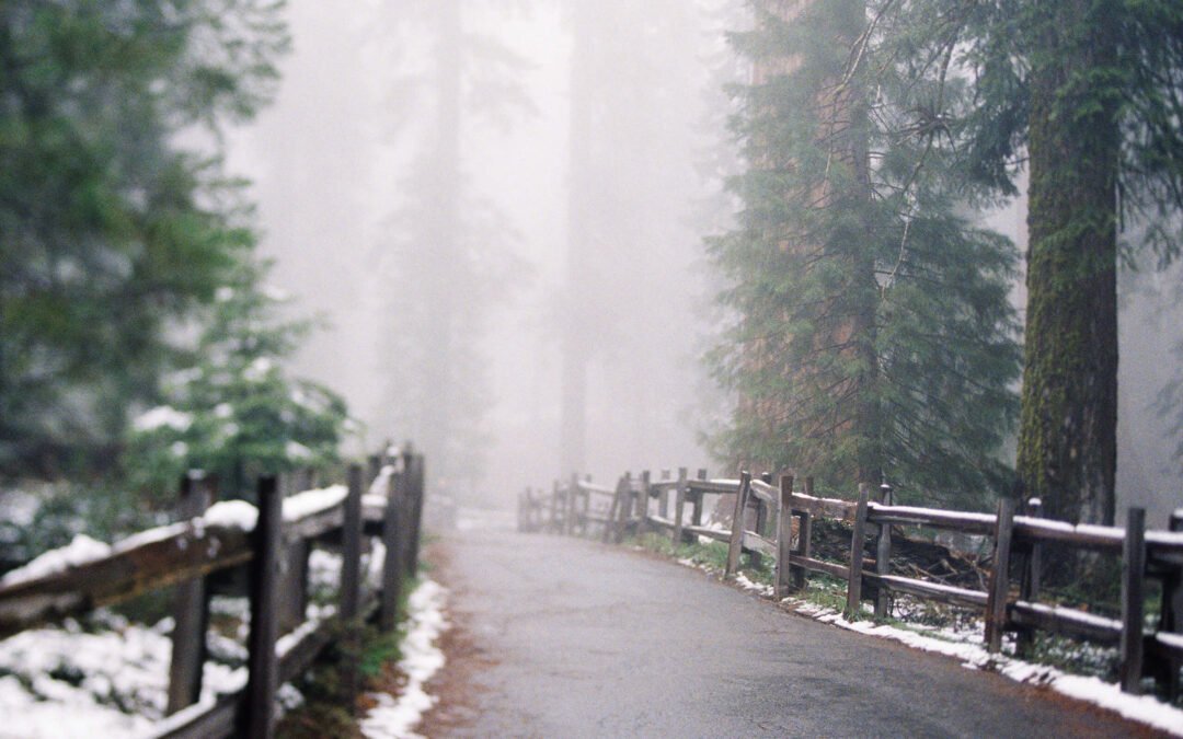 The Ultimate [Country/City] Travel Guide