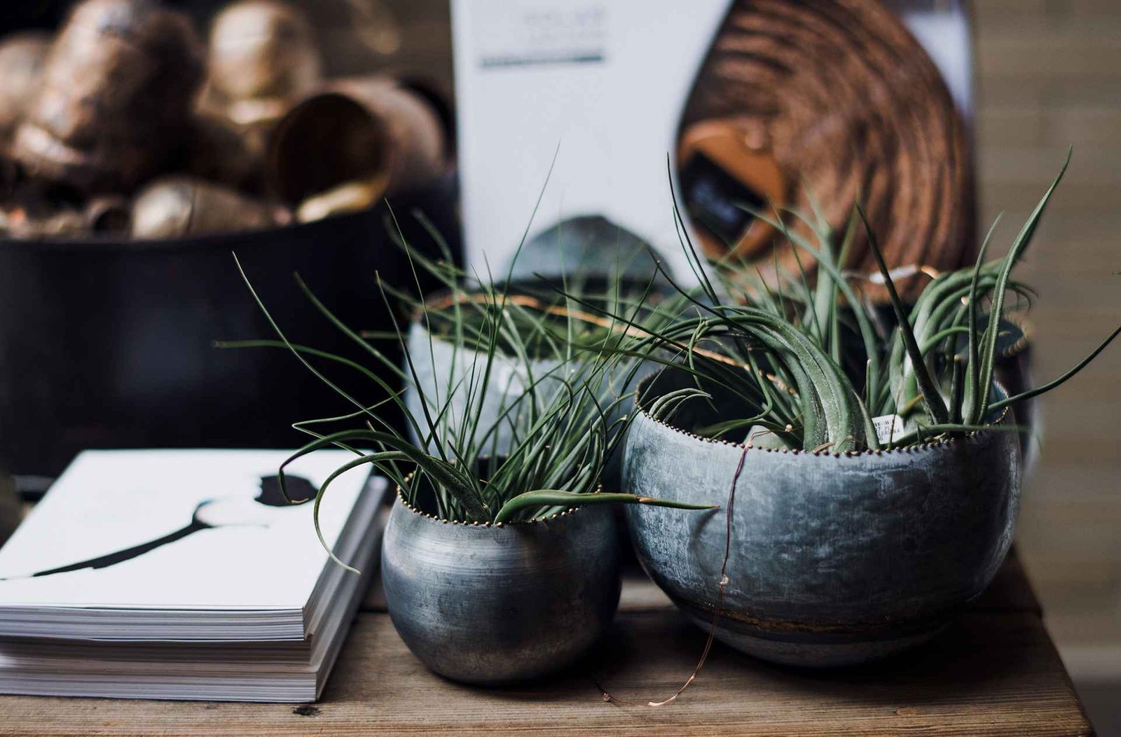 Design That Converts: UX Solutions for Modern Brands