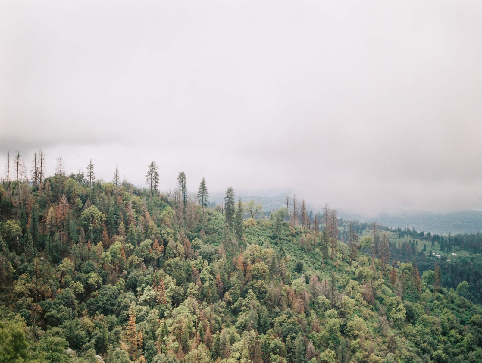 Together, We Can Make a Difference