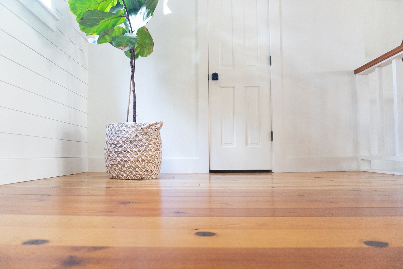 From Leaky Faucets to Loose Hinges—We’ve Got You Covered