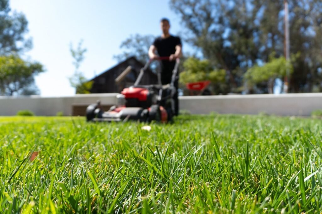 landscape-maintenance-17