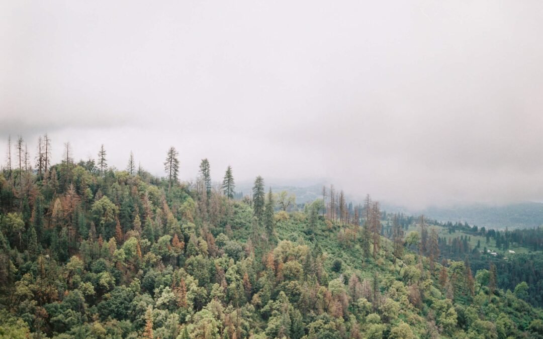 Together, We Can Make a Difference