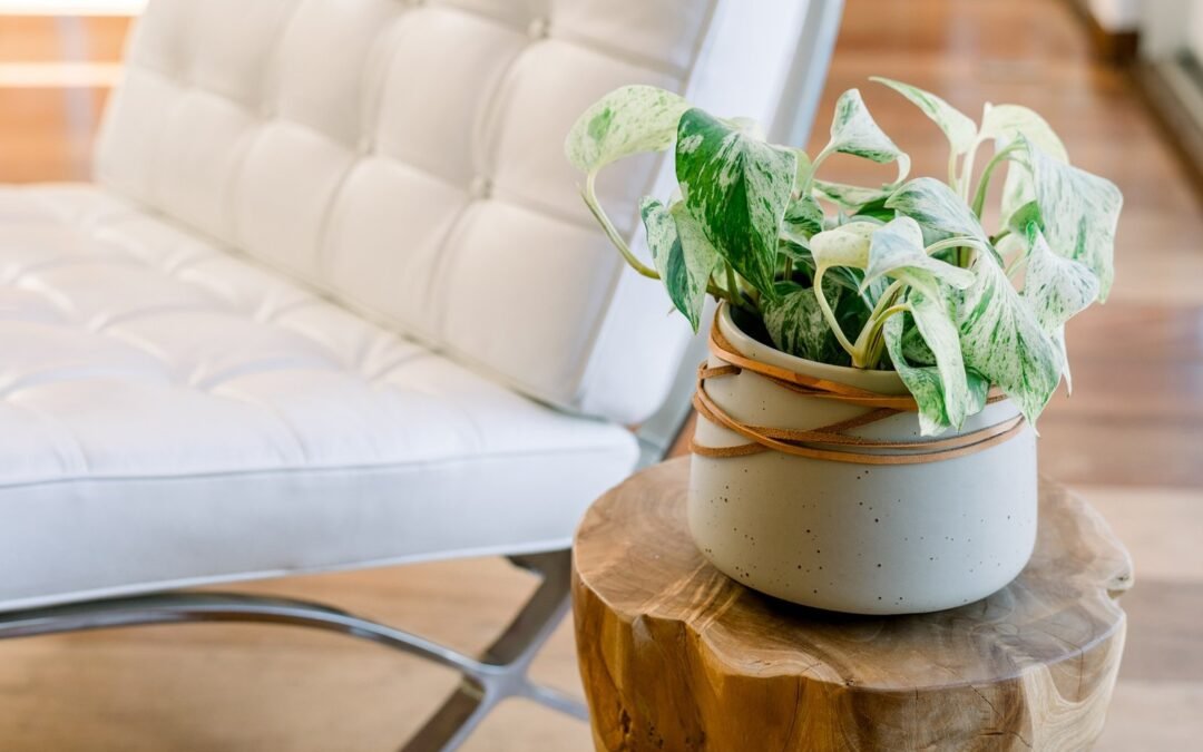 First-Time Buyer? Start Here!