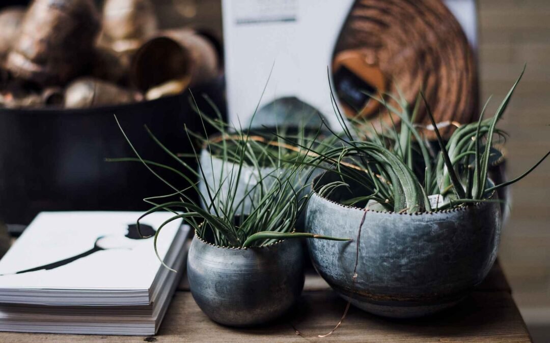 Design That Converts: UX Solutions for Modern Brands