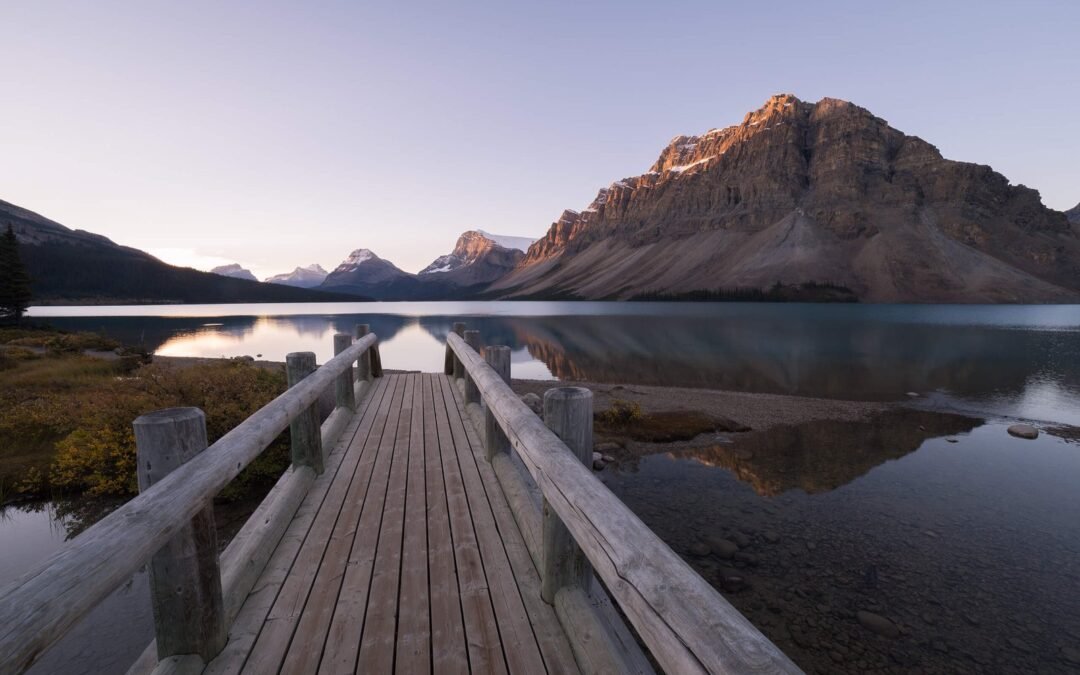 The World Is Waiting—Where to Next?