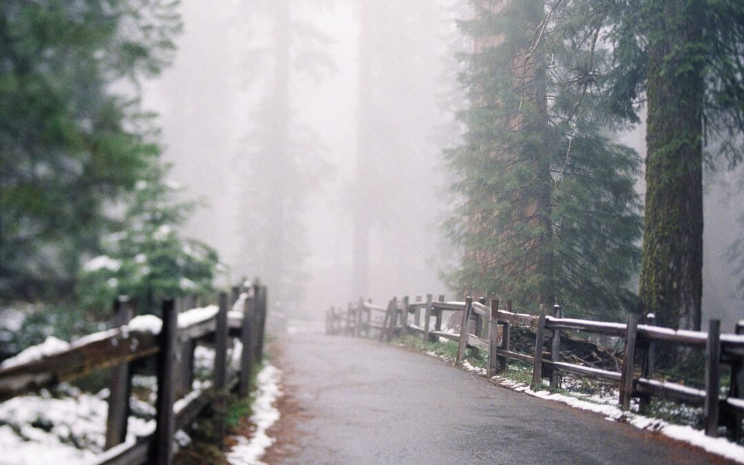 The Ultimate [Country/City] Travel Guide